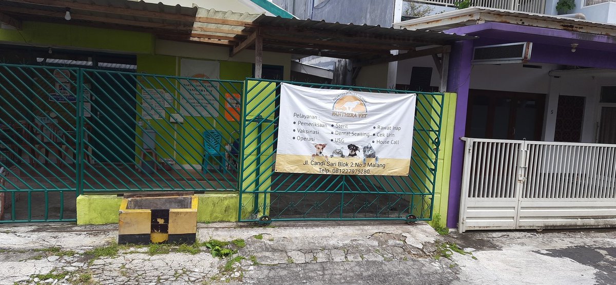 megaramadia's tweet photo. @filmingcatt @infomalang Panthera Vet di jalan candi sari Blok II No 2 kak ada https://t.co/AADAWB4BlG