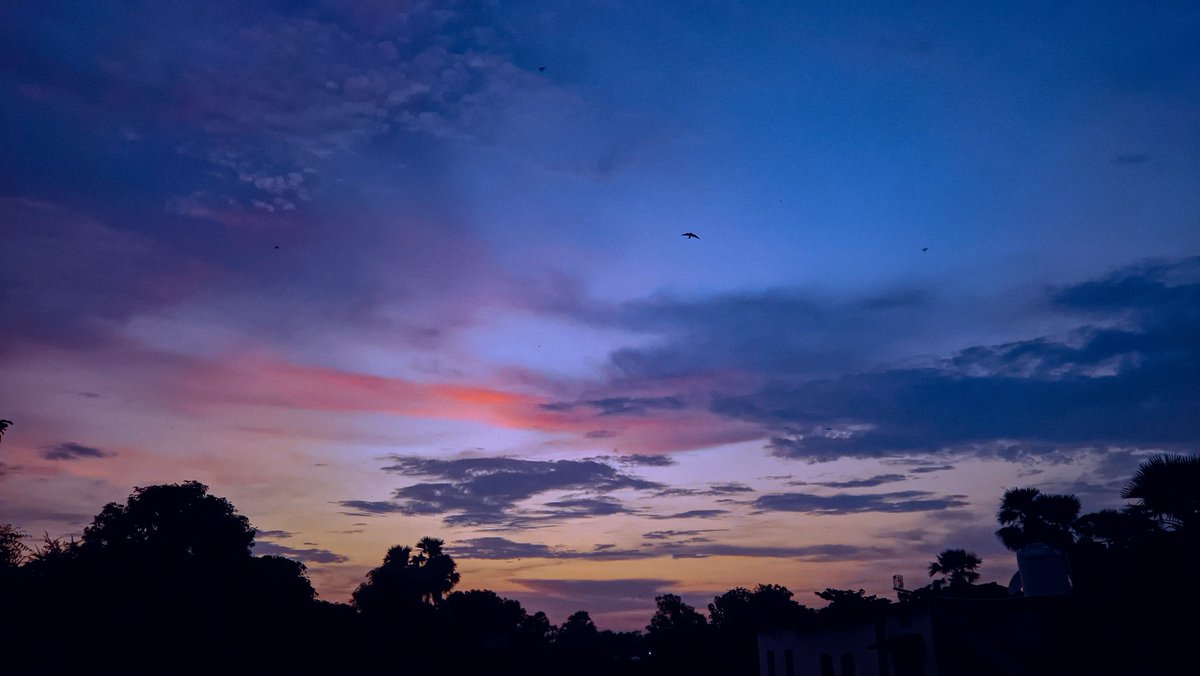 Misbahulx1's tweet photo. Sunset #6 

#sunset #sunsetphotography #Horizon #India #SKY #Cloud #redmi #redmiphotography https://t.co/fkDvWblrVR