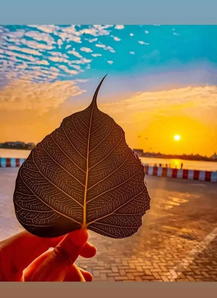 CabdisalanMaha2's tweet photo. Subax wanaagsan: 

Qofkii raba inuu guulaysto waa in uu ka gudbaa lixda Aas-aas ee saboolnimada, Hurdo, Ficil-la'aan, Cabsi, Xanaaq, Caajis iyo dib u dhigis. https://t.co/pRdt3zFutD
