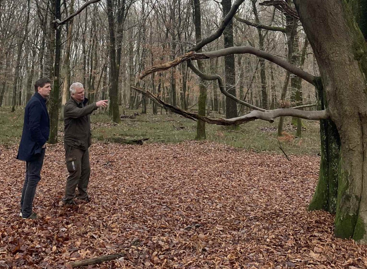 Voor de vroege vogels

briefjevanjan.nl/aan-jan-patern…