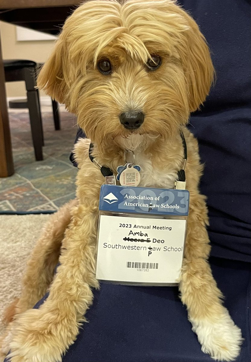 If pup were a paw professor….
#AALS2023 @SouthwesternLaw