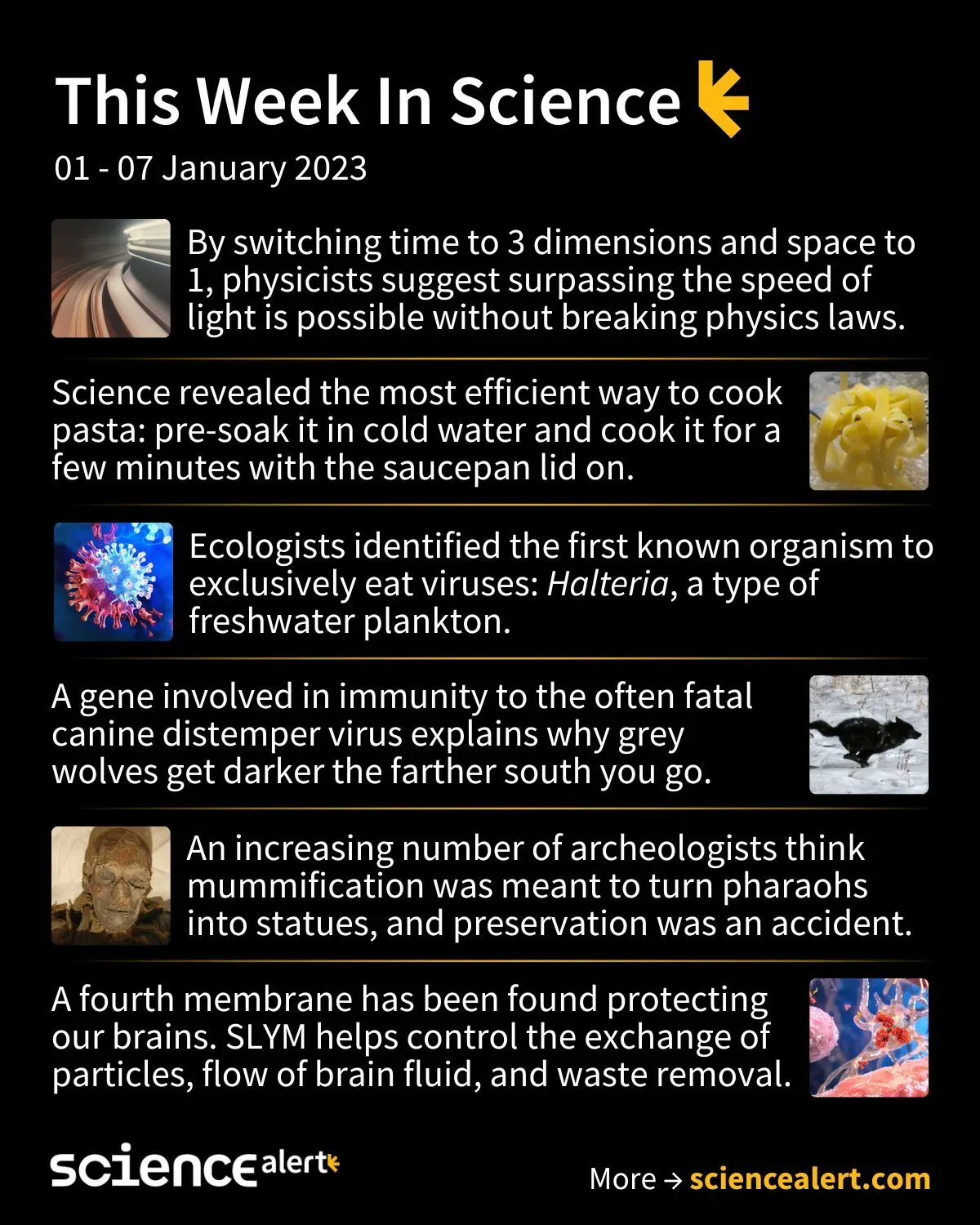 ScienceAlert on Twitter "New theories of mummies and breaking the speed of light featured TWIS