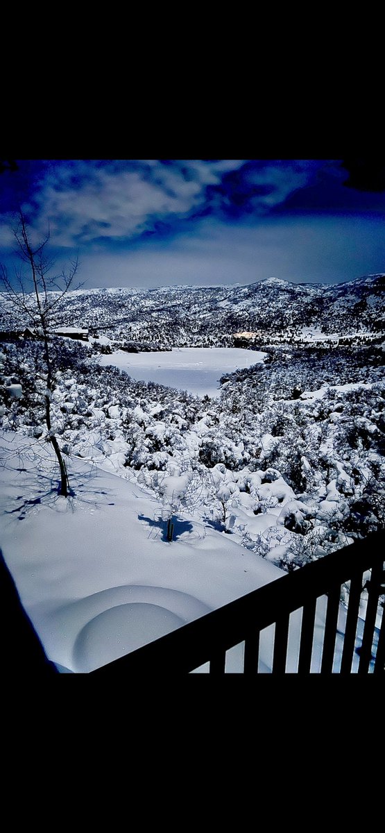 FixnBones's tweet photo. One last moonlit backyard view before we head back to Texas. Geez, 3 weeks has flown by😔….hope I remember how to operate. 😳😂
#TimberLakes
#orthotwitter https://t.co/zi9m5NWBBy