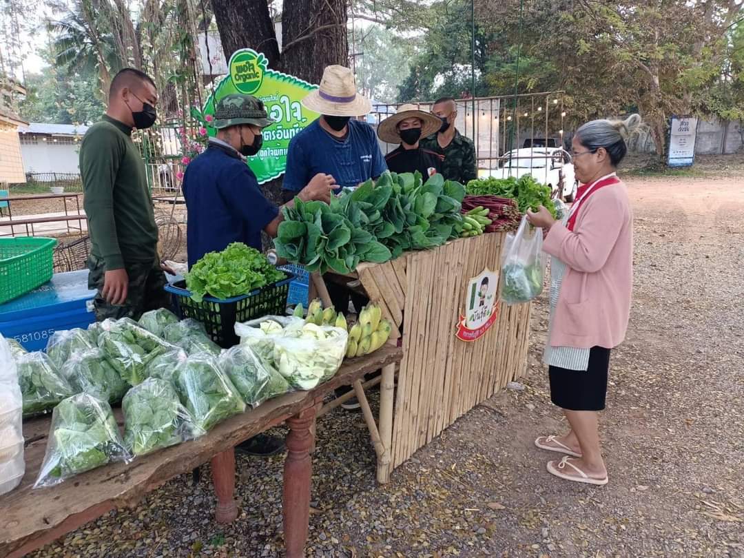 3_INFANTRY_DIV's tweet photo. “อยู่อย่างพอดี อยู่อย่างพอเพียง”🌱🥬

เจ้าหน้าที่โครงการทหารพันธุดี ร.3 พัน.1 เก็บเกี่ยวผลผลิตในโครงการทหารพันธุ์ดีจำหน่ายบริเวณตลาดพอใจ อ.เมือง จว.สกลนคร ซึ่งเป็นตลาดที่นำผลผลิตและอาหาร มาร่วมจัดจำหน่าย ในราคาที่ย่อมเยาและเป็นศูนย์รวมในการพบปะแลกเปลี่ยนความรู้ในแต่ละด้าน https://t.co/b1BxkSaEDO