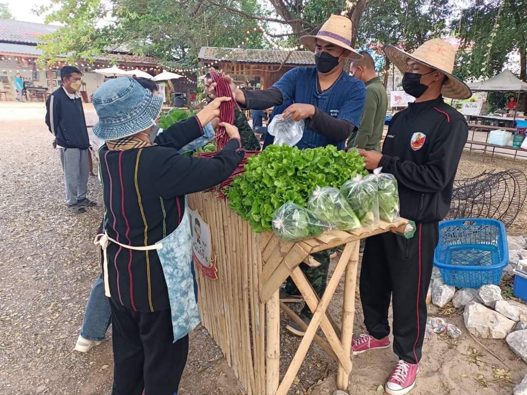 3_INFANTRY_DIV's tweet photo. “อยู่อย่างพอดี อยู่อย่างพอเพียง”🌱🥬

เจ้าหน้าที่โครงการทหารพันธุดี ร.3 พัน.1 เก็บเกี่ยวผลผลิตในโครงการทหารพันธุ์ดีจำหน่ายบริเวณตลาดพอใจ อ.เมือง จว.สกลนคร ซึ่งเป็นตลาดที่นำผลผลิตและอาหาร มาร่วมจัดจำหน่าย ในราคาที่ย่อมเยาและเป็นศูนย์รวมในการพบปะแลกเปลี่ยนความรู้ในแต่ละด้าน https://t.co/b1BxkSaEDO