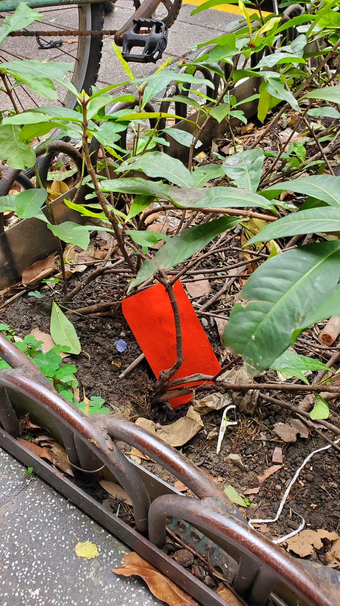 เวลาใครเจอซองแดงตกอยู่ตามพื้นแบบนี้ อย่าไปเก็บนะคะ เพื่อนไต้หวันบอกว่าถ้าหยิบคือเรารับคำแต่งงานจากผีค่ะ แล้วผีจะตามกลับบ้าน ชีวิตจะซวยงี้! แต่ถ้าแต่งกับผีแล้วได้สัญชาติ อิชั้นจะรีบกยิบทันทีค่ะ 55555 #ไทเป #ไต้หวัน #รีวิวไต้หวัน