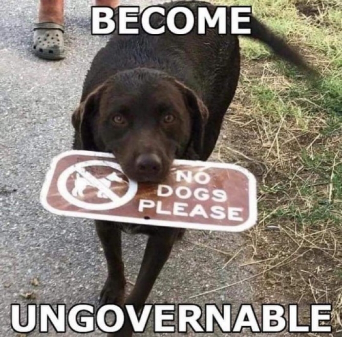 #BecomeUngovnerable #Resistance #resistenceUnited