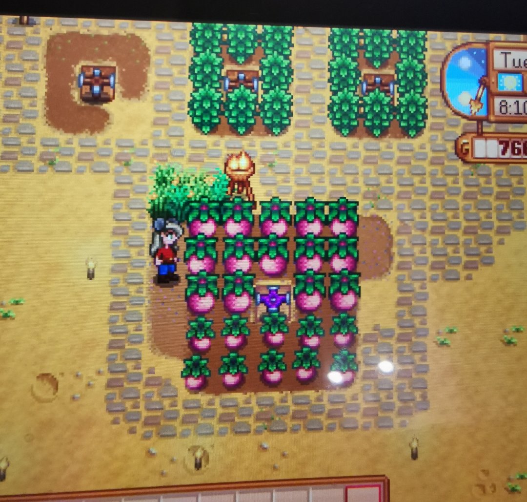 r/StardewValley on Twitter "Year 3 and I only just discovered you can