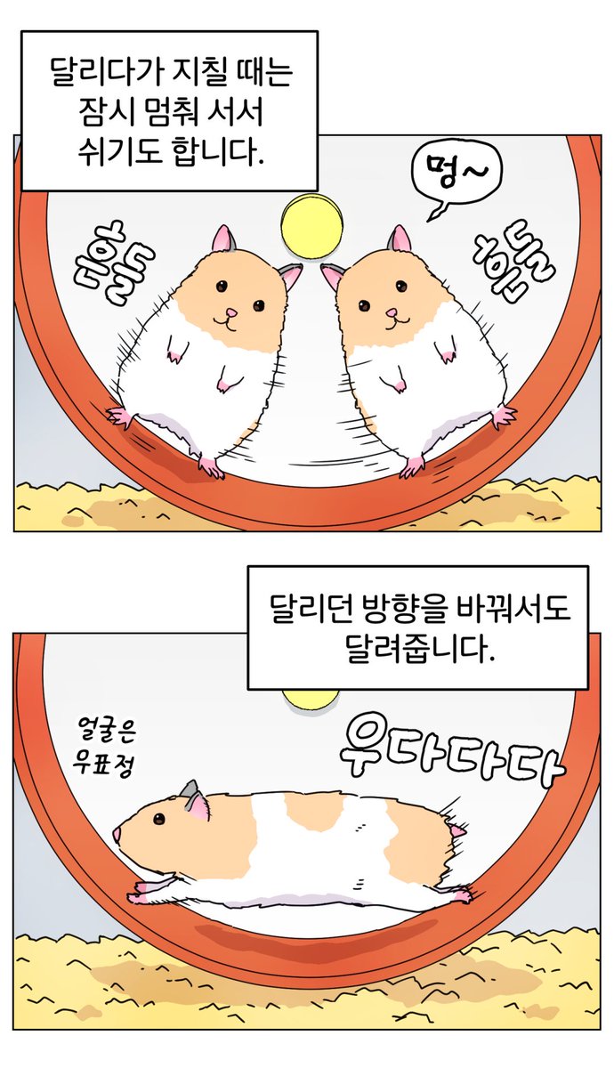 sad5min's tweet photo. 쳇바퀴 좋아 햄스터 https://t.co/YXdZXXoZBT