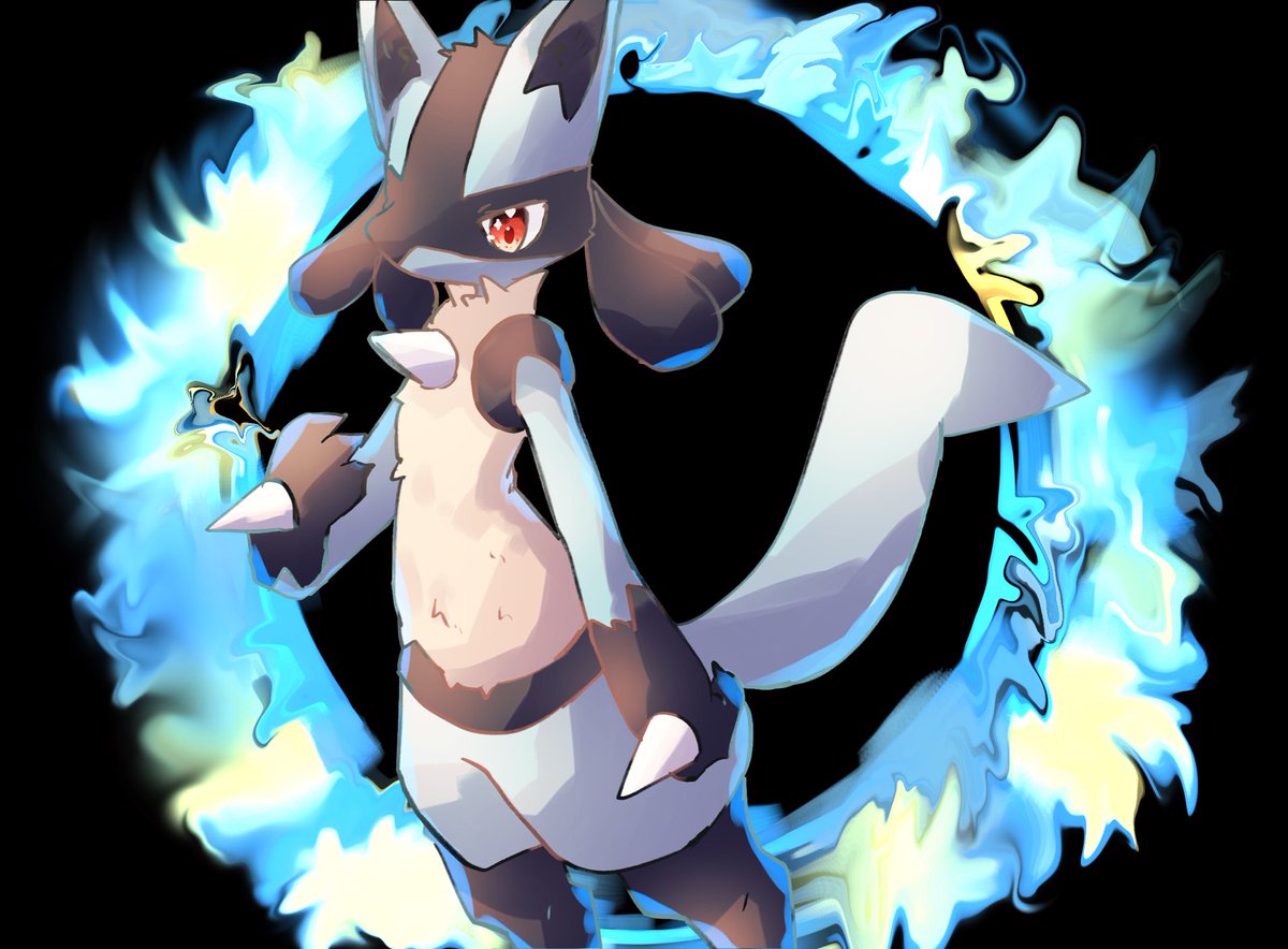 ルカリオ アニメ】アニメDVD ポケモンTVアニメコレクションDVD