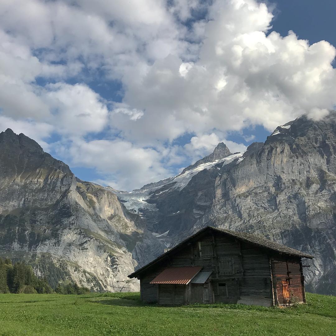 bushramehboob1's tweet image. I love this life, is there anyone else like me?🙂