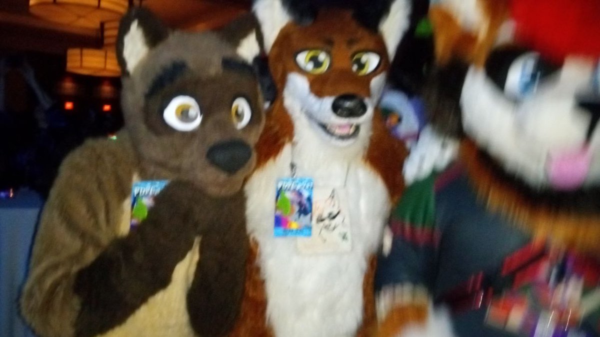 FollowWhiskey's tweet image. #pdfc2023 was a blast. I love spending new years eve in fursuit with friends.  I found a giggling dog, and tired raccoon, and an AI computer that&apos;s spot-on at identifying species of animals.