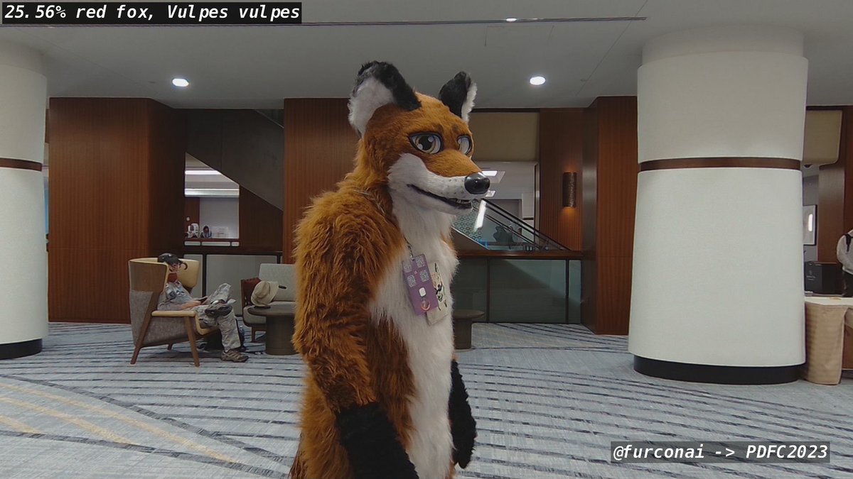 FollowWhiskey's tweet image. #pdfc2023 was a blast. I love spending new years eve in fursuit with friends.  I found a giggling dog, and tired raccoon, and an AI computer that&apos;s spot-on at identifying species of animals.