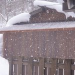 ふじた_?♨️?雑用係のツイート画像