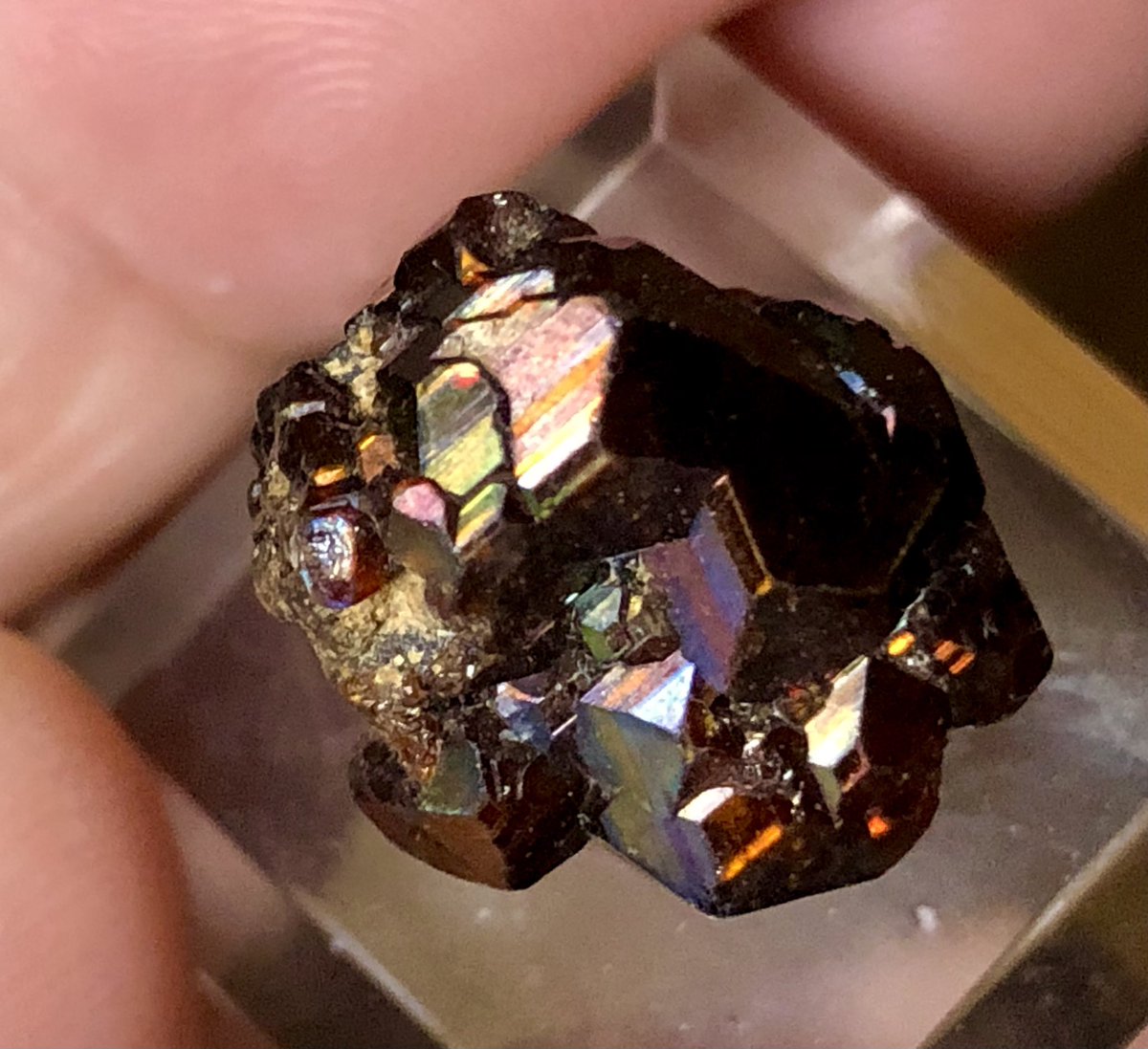 見事な 至宝 5.033ct エッグインオパール ルース jewelry solines.ec