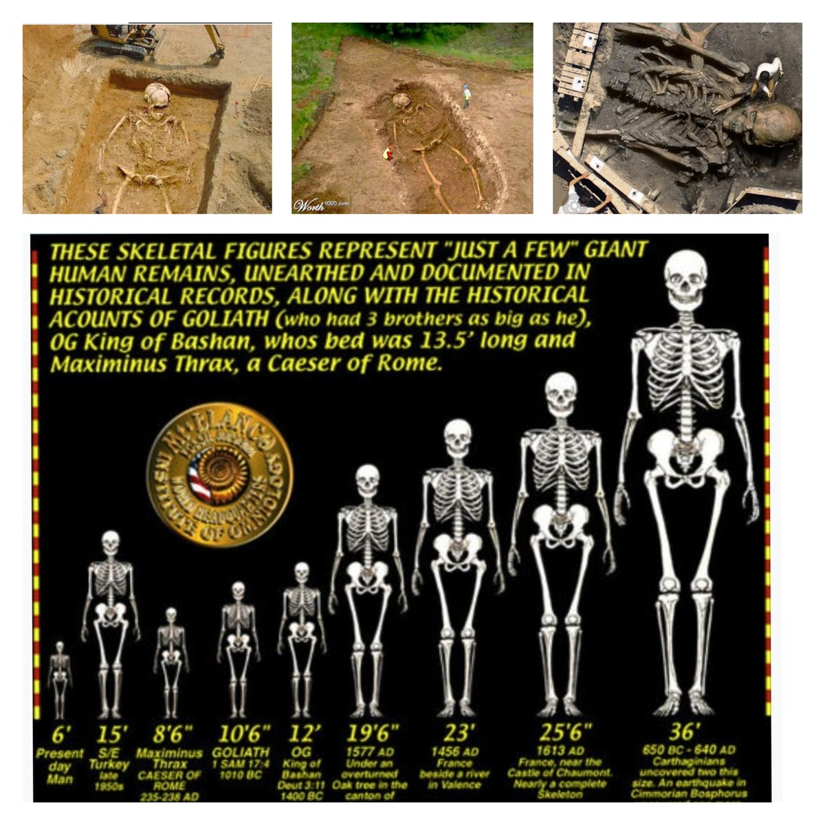 dome_uponenz's tweet photo. do you believe in giants? #giants #History #hiddenstory #tartaria #losthistory https://t.co/sMVcuqDC40