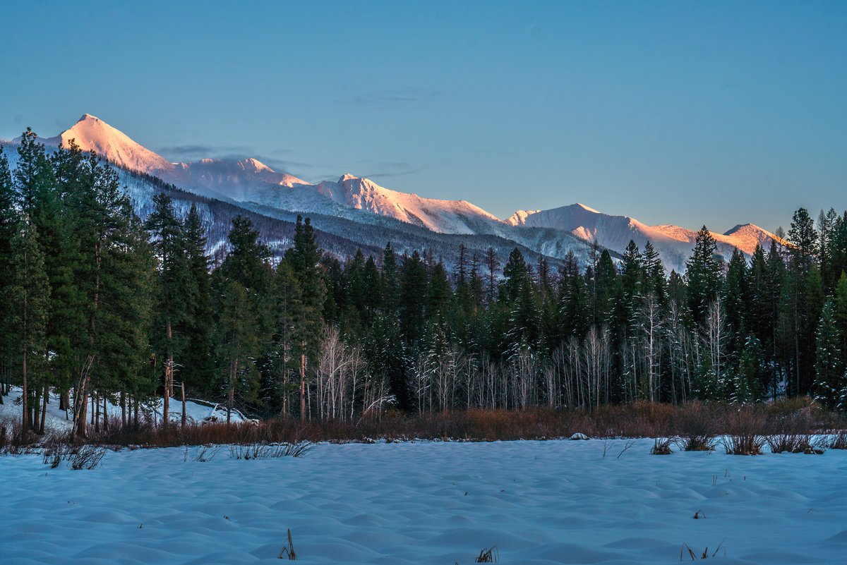 Frozen over wetlands on Smith Creek with the Swan Range bathed in pink behind #MontanaMoment