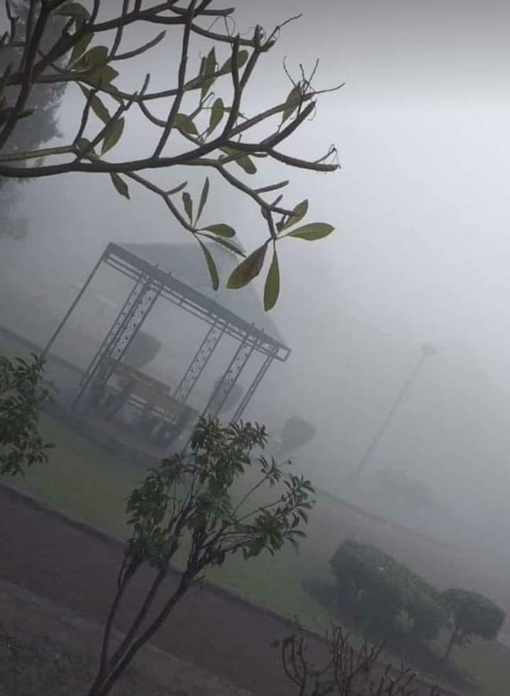 چلو اچھا ہوا کہ دھند پڑنے لگی

بہت دور تک ڈھونڈتی تھی نگاہیں اس کو