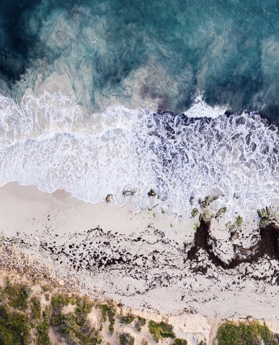 Project Blu tweet media