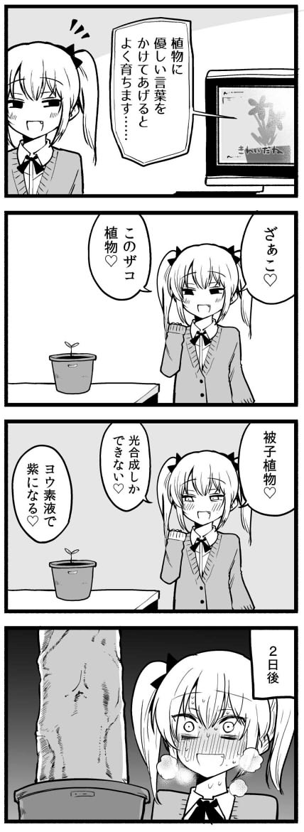 やさしい言葉(再々) 