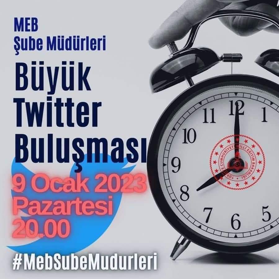 Lexi Xiao (@lexixiao1111) on Twitter photo 