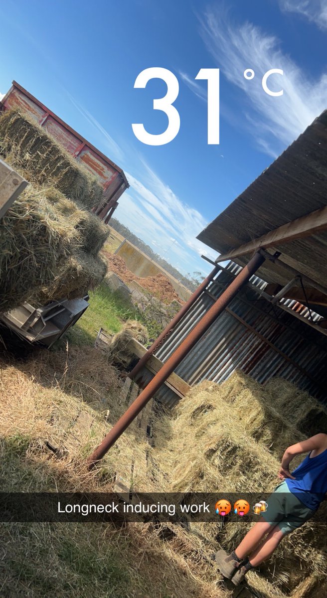 How was everybody’s Sunday? I possibly picked the wrong day to do some idiot bricks 🥵🥵 thank goodness there’s some ice cold king browns in the fridge 🍻