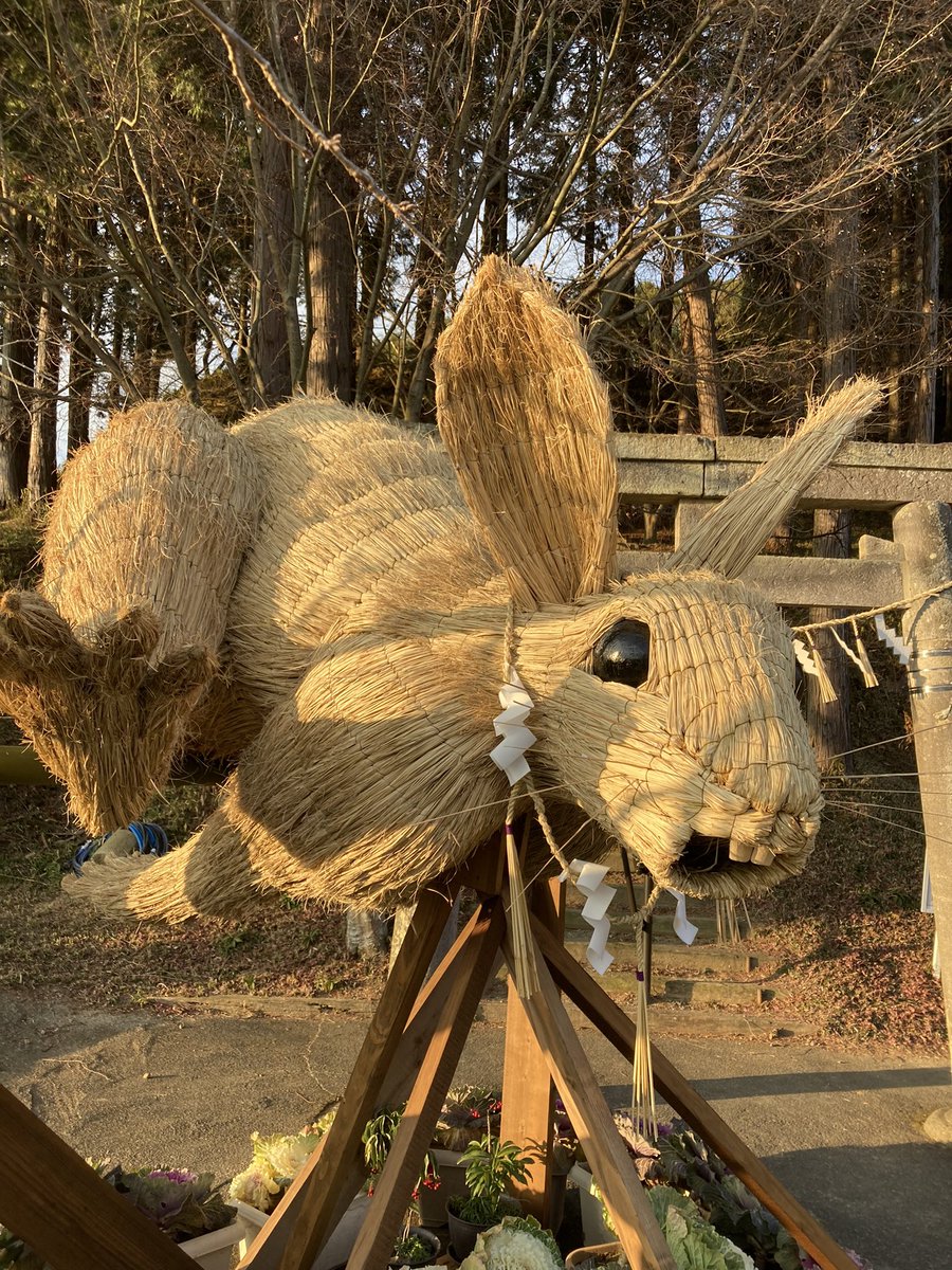 躍動感溢れる！すごーい