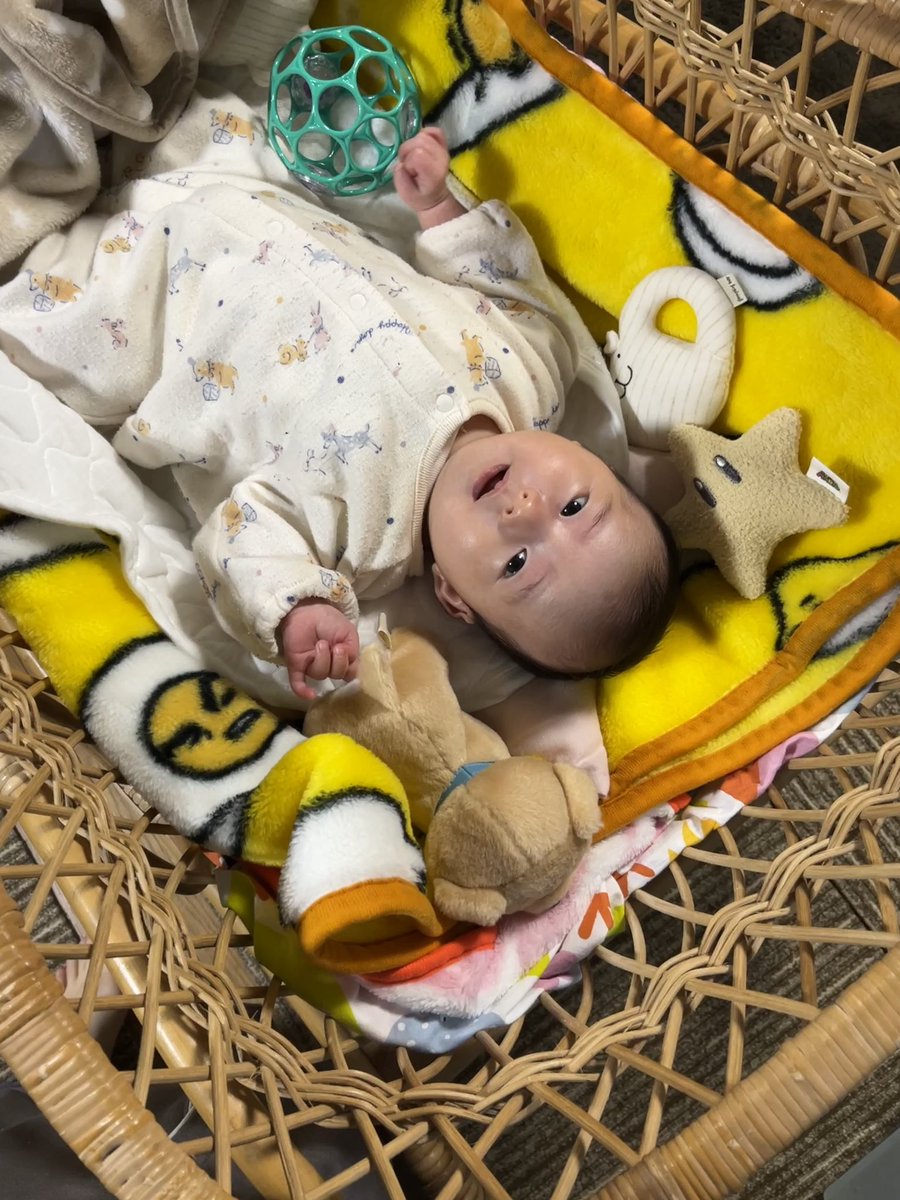 SujaYui's tweet photo. 兵庫のおうちにかえるよ
あそびにきてー https://t.co/XAYxDp0HHR