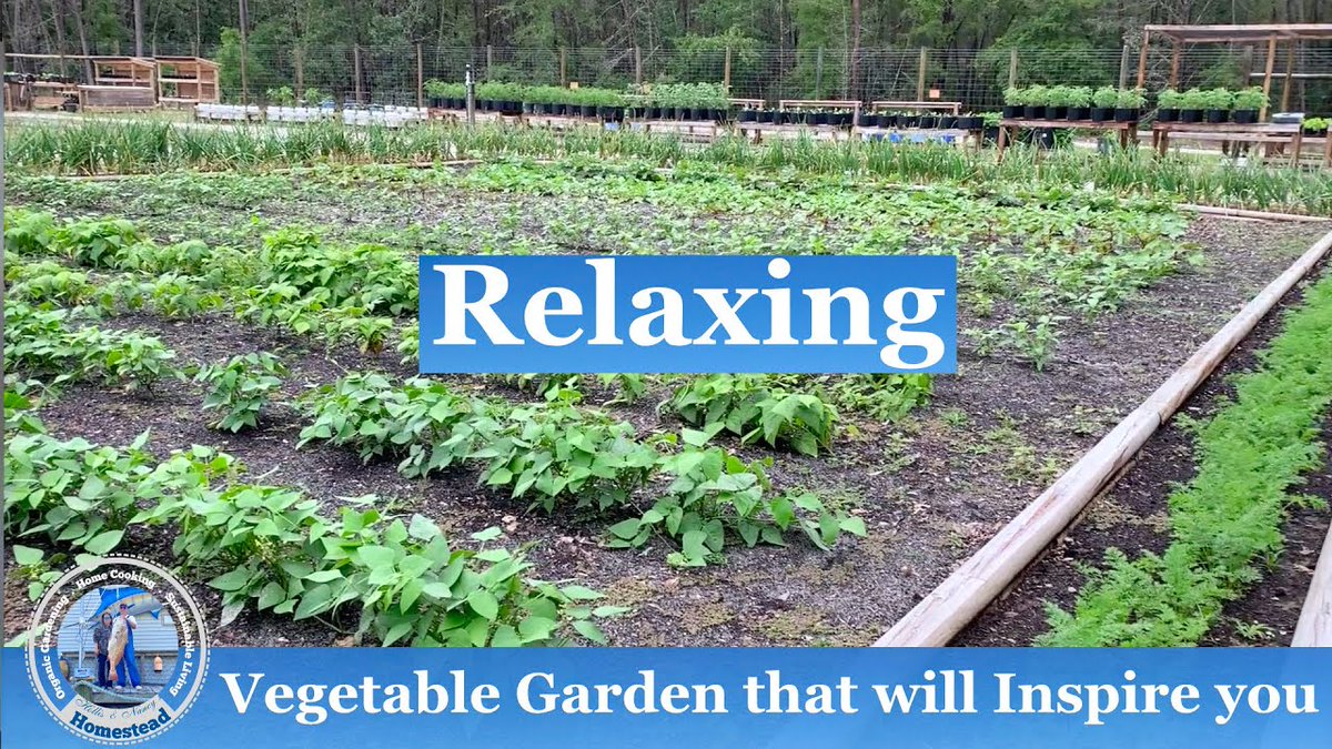 DiningCooking's tweet photo. #Spring Vegetable Garden ...
#GardenInspiration #Gardening #Hollisnancyshomestead #Inspirational #InspiringSpringGarden #OrganicGardening #SpringGarden #SpringGardenPlanning #SpringGardenTips #SpringGardenTour #SpringVegetables #VegetableGarden
https://t.co/EJC4FidWUb https://t.co/ymONAArdWy