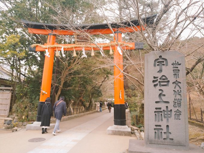 宇治へお参りと御朱印とお茶しに来ました⛩️ 