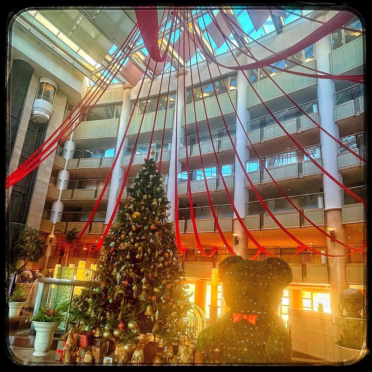 pchie's tweet image. 初島のエクシブに行って来ました。
プールで泳いでゴハン食べて温泉入ってカラオケ〜
よく寝てよく食べましたー☆