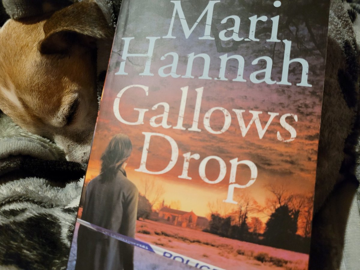 MilzPixie's tweet photo. Sunday means the next Kate Daniels book @mariwriter ❤️ Glad Frankie's got over his weekly sulk - Saturday morning is blanket wash day & even after 10 years he still sulks - they're gone for less than an hour 🙄 #BookTwitter https://t.co/j0cjXKHon3