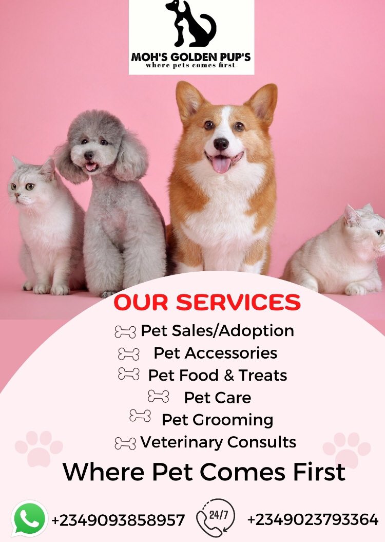 Momohdkaka9's tweet photo. WE ARE OPEN FOR BUSINESS 
Happy Sunday Petlovers https://t.co/LNWwwDUpoe
