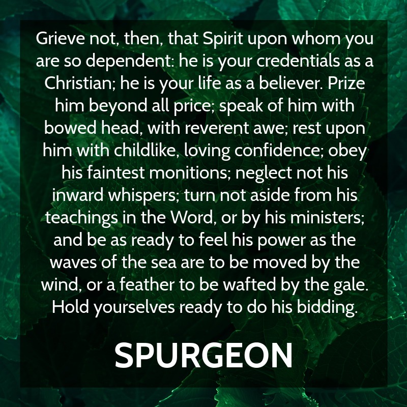 Do not grieve him who is life in you.

#Spurgeon #s738