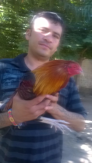 SE FUERTE PARA QUE NADIEN TE  HUMILLE, SE HUMILDE PARA QUE NADIEN TE OFENDA, Y SIGUE SIENDO TU PARA QUE<a href="/tag/moisesfranquez"class="tags"><span>#moisesfranquez</span></a><a href="/tag/elmgproductions"class="tags"><span>#elmgproductions</span></a><a href="/tag/franques28"class="tags"><span>#franques28</span></a>