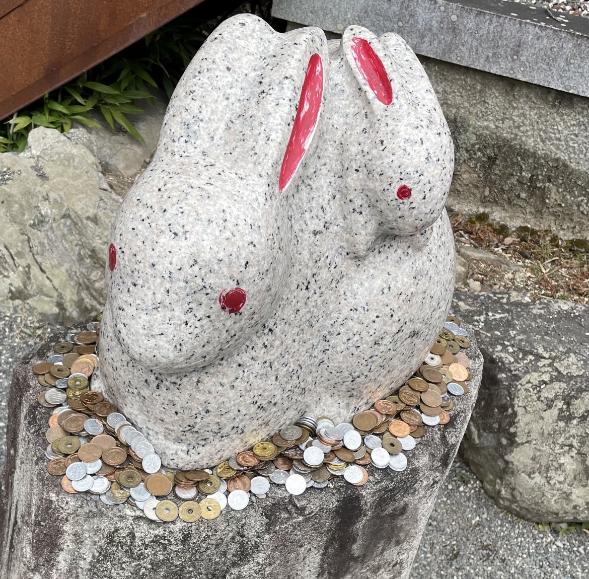 今日辺り空いてかな?と思いお昼すぎにティッピーと一緒にうさぎ神社こと岡崎神社へ初詣⛩
ところが大行列になってて凄かった!入るまで数時間かかりそうなので諦めて同じくうさぎ神社こと三尾神社の方へ🐰
こちらもうさぎがたくさんの可愛い神社でした🐰✨
岡崎神社へはまた日を改めてですね‥ 