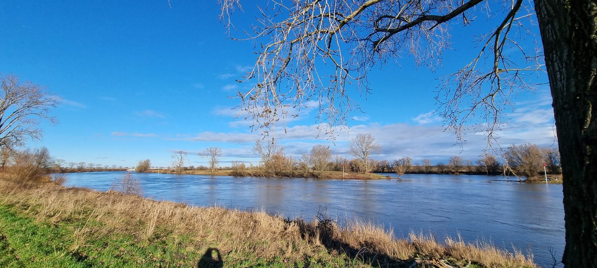 lbueters's tweet image. Lekker gewandeld. #Boxmeer ❤️