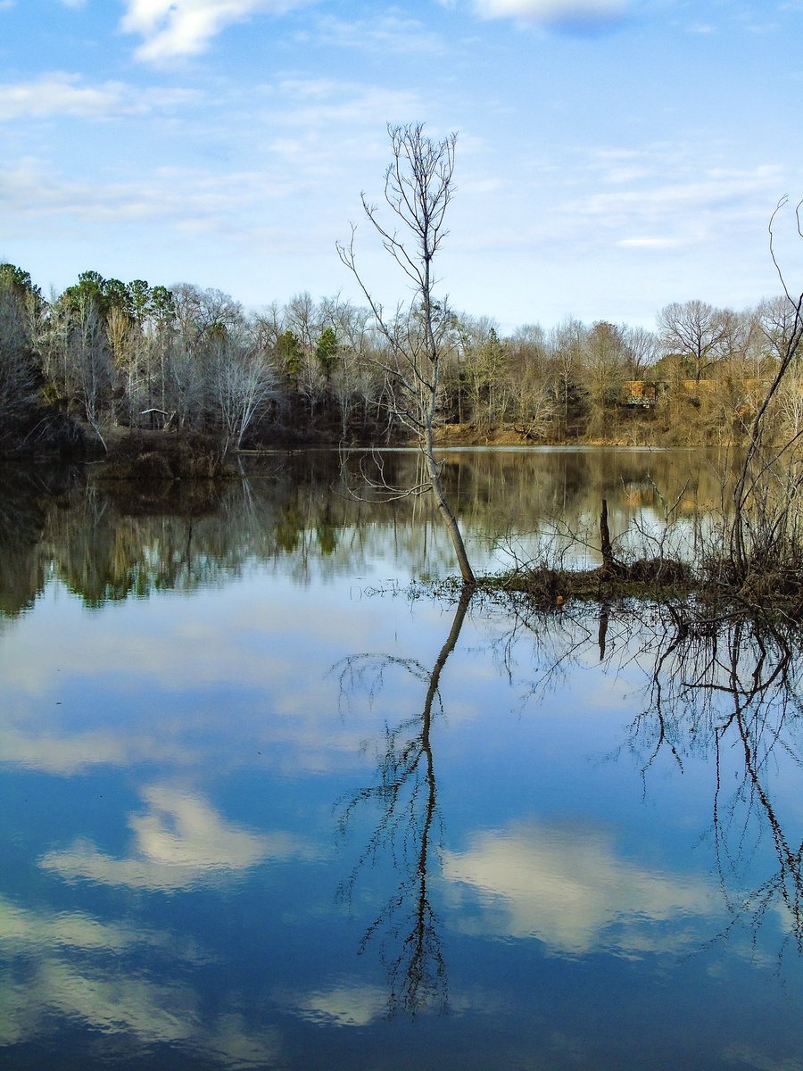 DanielCPotts's tweet image. Always remember, my child,
that each one of us 
can have a greater impact 
upon the world 
than we may clearly perceive 
through the beauty 
of our persistent,
though imperfect,
upward reachings
and downward abidings.

—D. Potts
#LessonsFromNature #poetry #photography