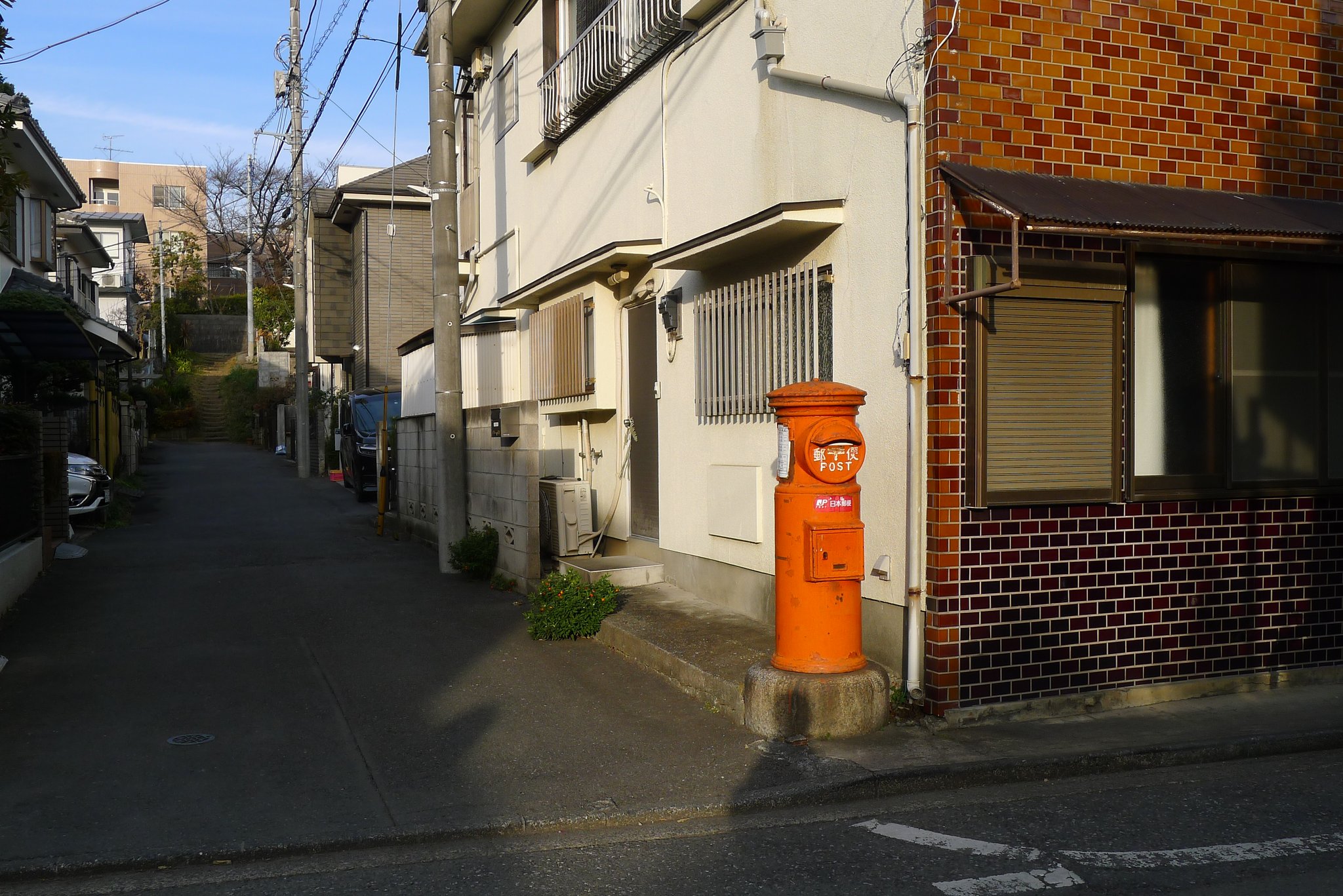 そてつ郵便部🌴 on Twitter そてつ郵便部🌴 on Twitter