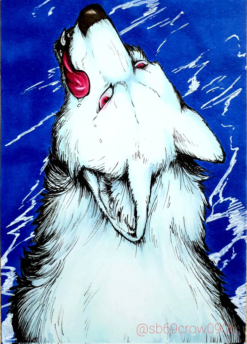 no humans blue background animal focus red eyes solo traditional media fluffy  illustration images