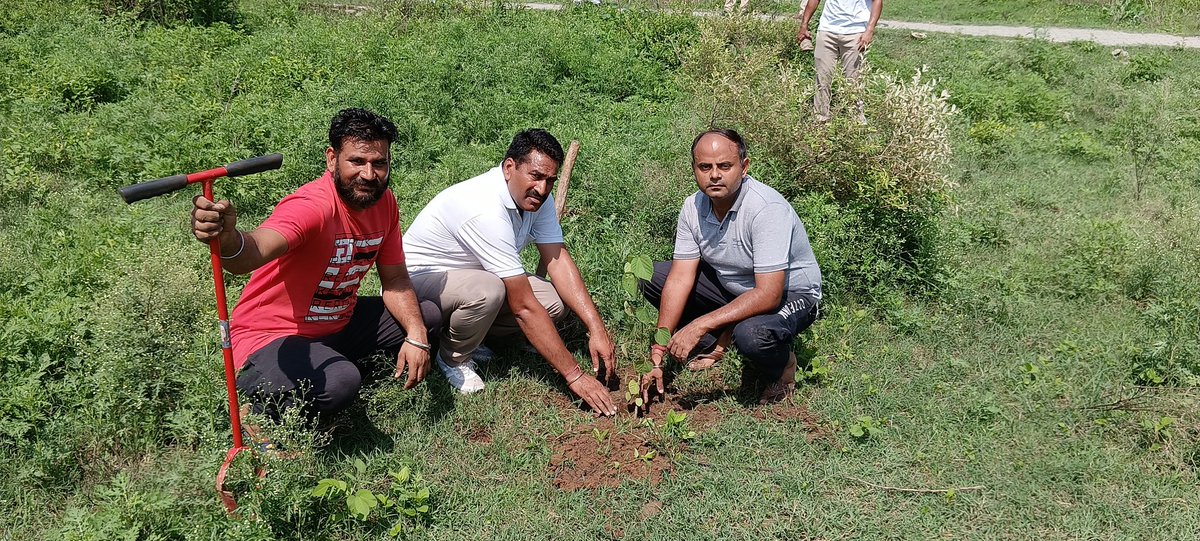MunishK73579444's tweet photo. वृक्षारोपण के पहले जानकारी #पर्यावरण सम्वर्द्धन में निभाएं अपनी जिम्मेदारी 🌳
#एक_पेड़_देश_के_नाम
12 जनवरी 2023 से 12 जनवरी 2024
#पर्यावरण_संरक्षण_गतिविधि #Plant_A_Tree #environment #SaveSoil #StopSingleUsePlastic #Organic #plants #OneTreeForNation #Nature #water https://t.co/SV9nRD0Pwc