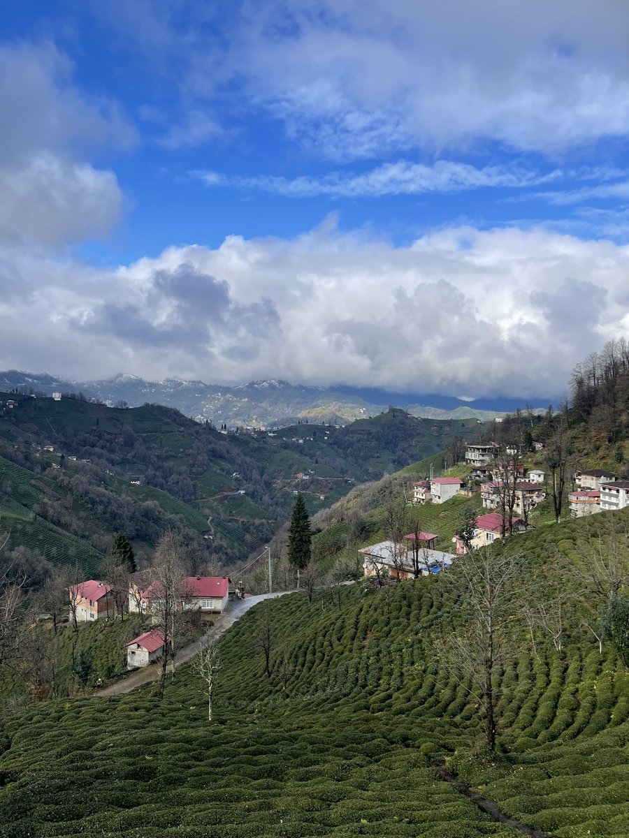 abdulbakifil's tweet photo. @siradisifoto #Mandiles den #Rize #Ayane https://t.co/VBUPk7dAzd