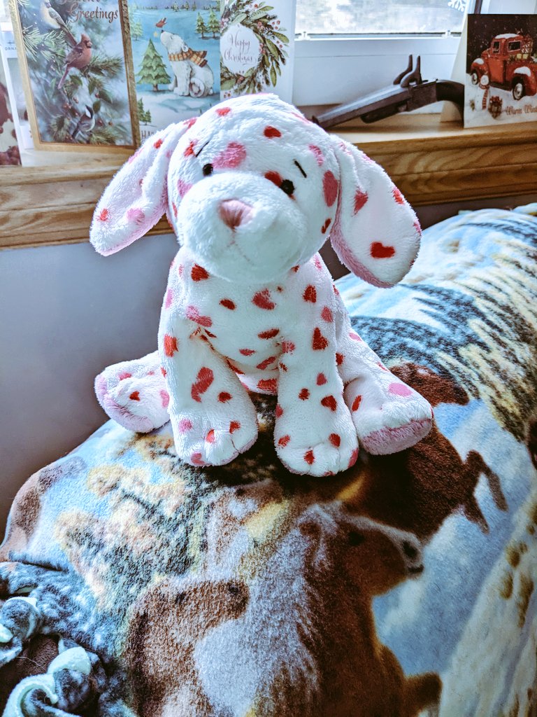 pixieplayer_'s tweet photo. Lady Cupid came in yesterday and I love her.
She didn't come with a code and that's ok I love her with or without it ππ
@webkinz
#webkinz #puppylove #adoable #plushie #ladycupid https://t.co/UrHx2tWgAV