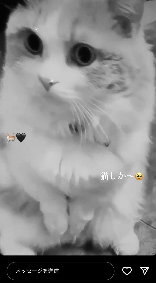 9793_fs's tweet photo. ボロが出始めでも尚、嘘の匂わせ頑張ってるの可愛いから再掲します🥱

1枚目→aknのストーリー
2.3枚目→ランペのweibo

藤原樹 akn 匂わせ 👊🏻🐱 https://t.co/fDQ9DJi8A4