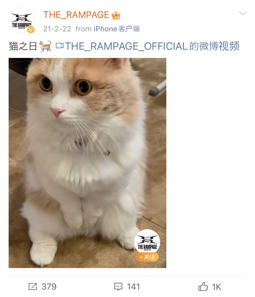 9793_fs's tweet photo. ボロが出始めでも尚、嘘の匂わせ頑張ってるの可愛いから再掲します🥱

1枚目→aknのストーリー
2.3枚目→ランペのweibo

藤原樹 akn 匂わせ 👊🏻🐱 https://t.co/fDQ9DJi8A4