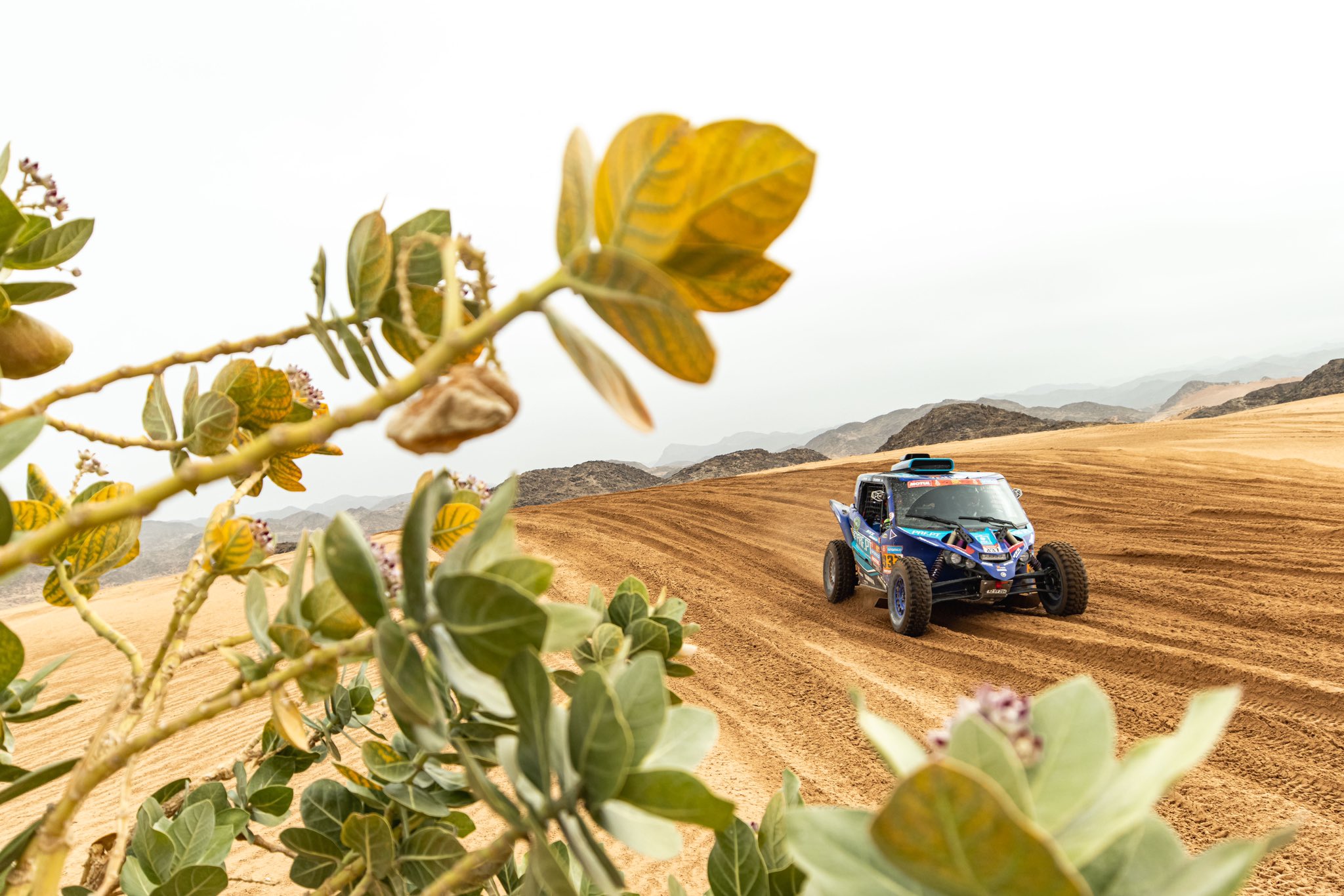 Ferreira en la Etapa 8 del Dakar 2023 | Fuente: W2RC