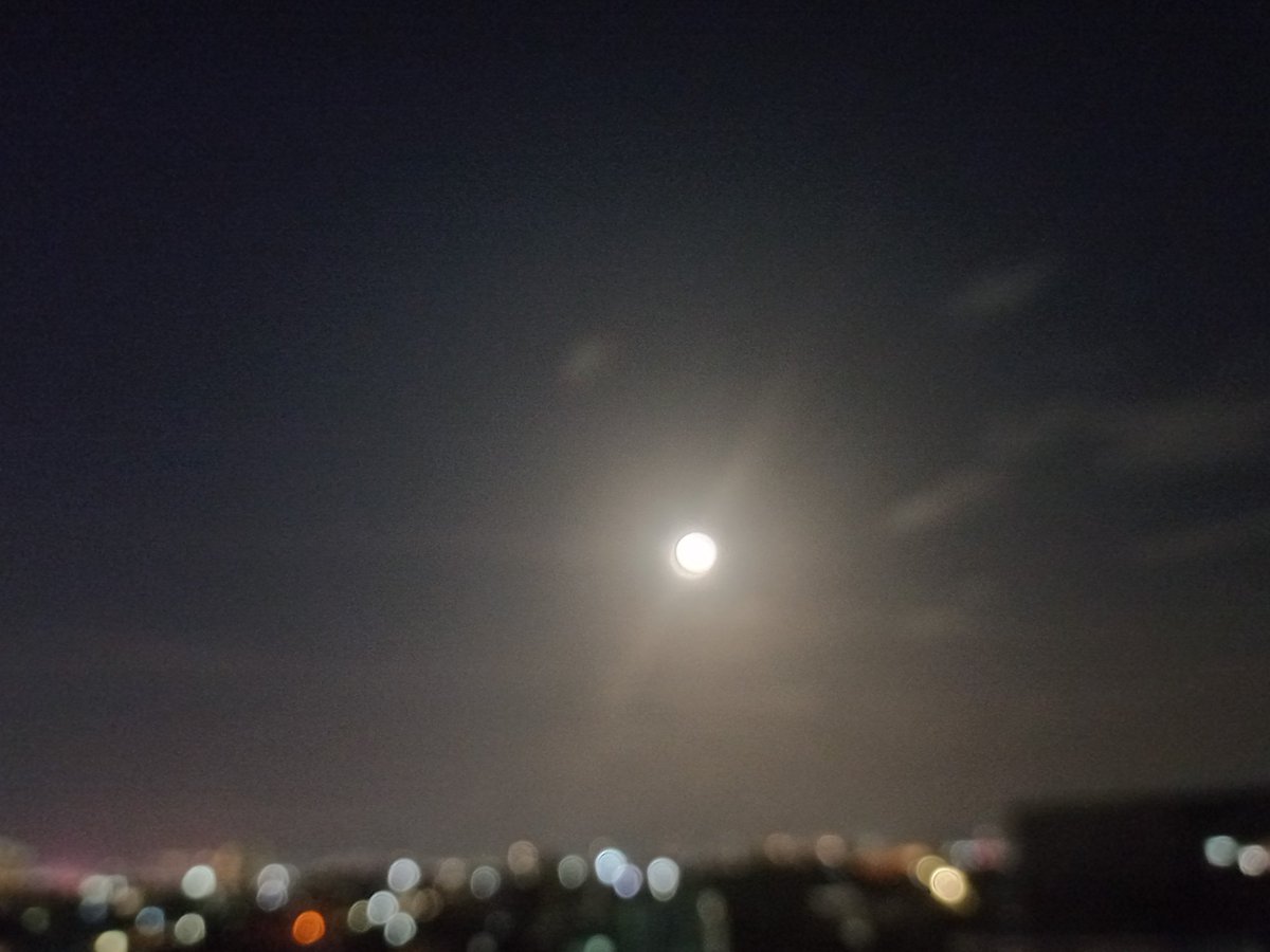 _krishfillet's tweet photo. "I love you better." - Over the Moon https://t.co/J28xAPLMHR