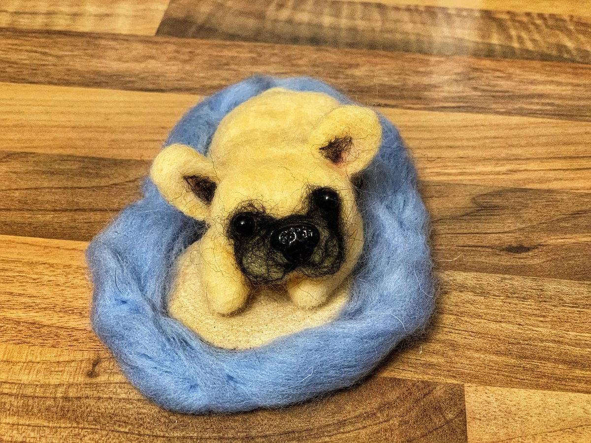 #Frenchie #Französischebulldogge #gefilzt #handmade #filzen