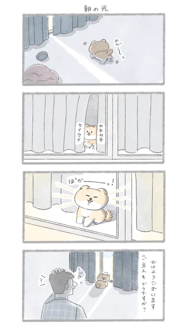 朝の光
#こんにちはいぬです 