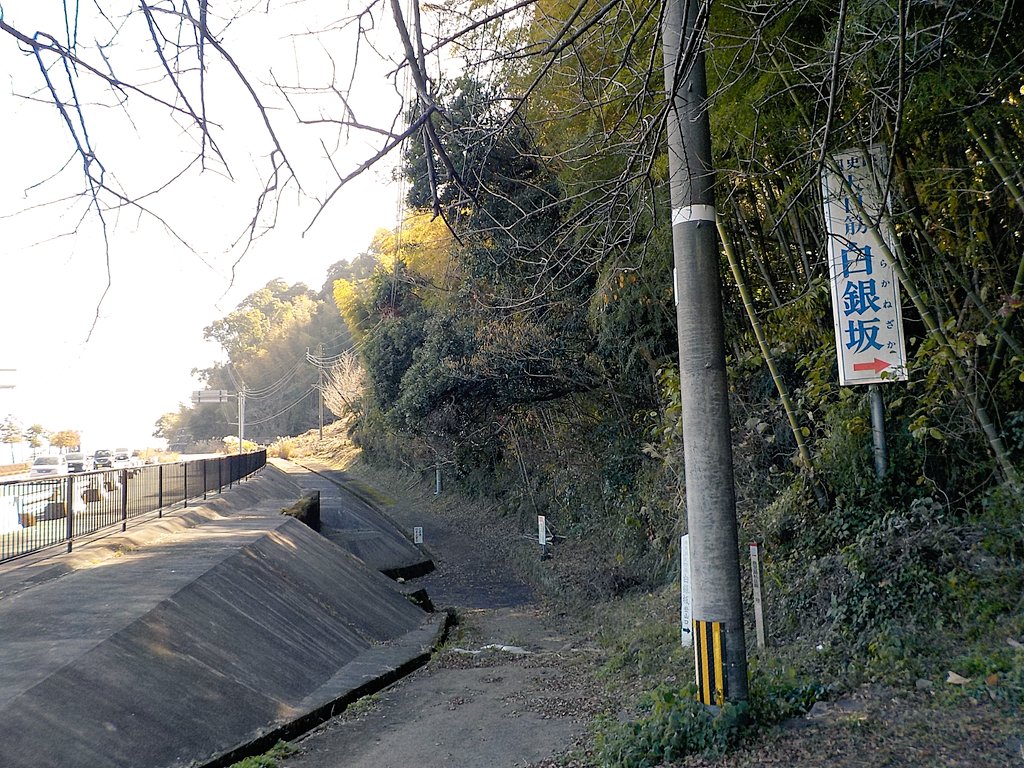 monkey4mountain's tweet photo. 🕸🕷💉💉💉💉
#Training ☠️
#TrainingSaturday #TrainingSunday
#TrainingMask #6km #Running #TrailRunning #Hiking
#Shirakanezaka #Hill #白銀坂 https://t.co/bMG89QAsp9